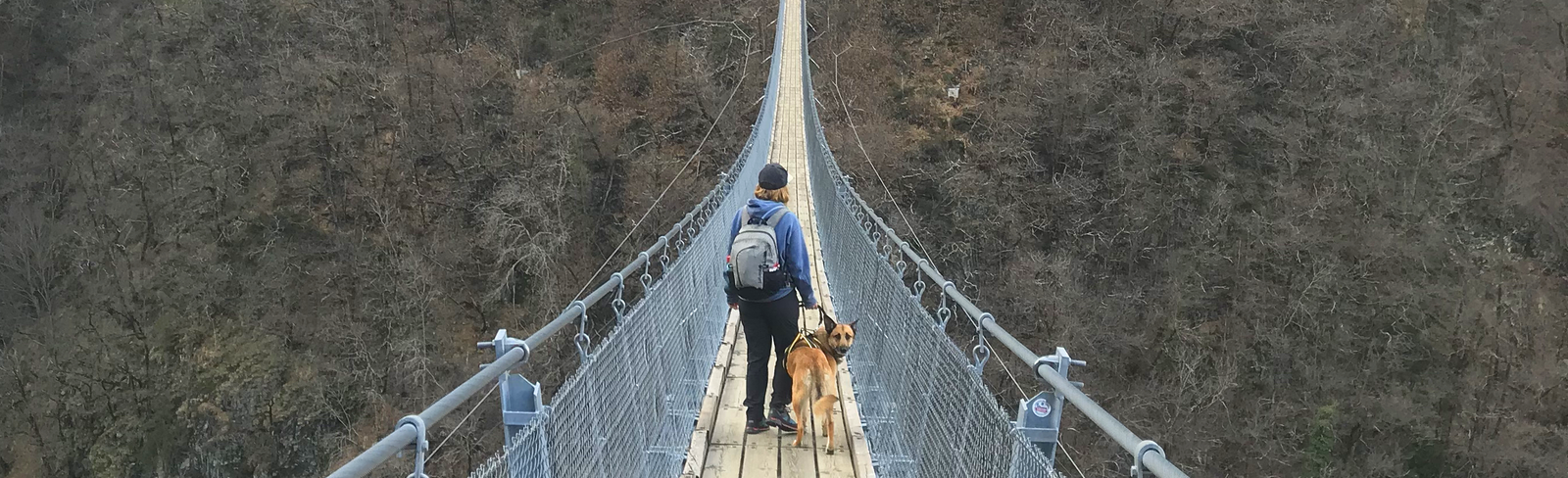 Biche&Dogs professionnelle canin -Marley Perrine Pont suspendu